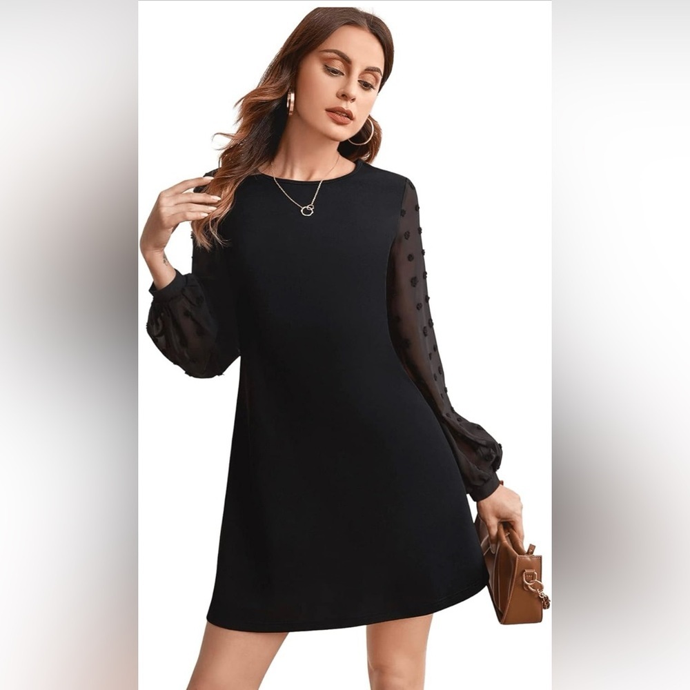 SweatyRocks Women's Elegant Mesh Contrast Long Sleeve A Line Mini Short Dress